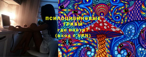 прущая мука Абаза